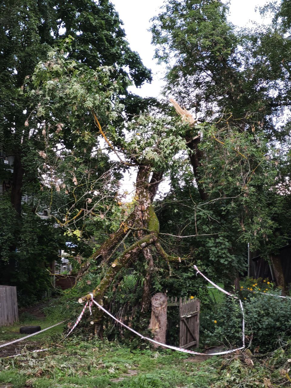 20240814_Бытовые-наблюдения-и-жизненный-выпу