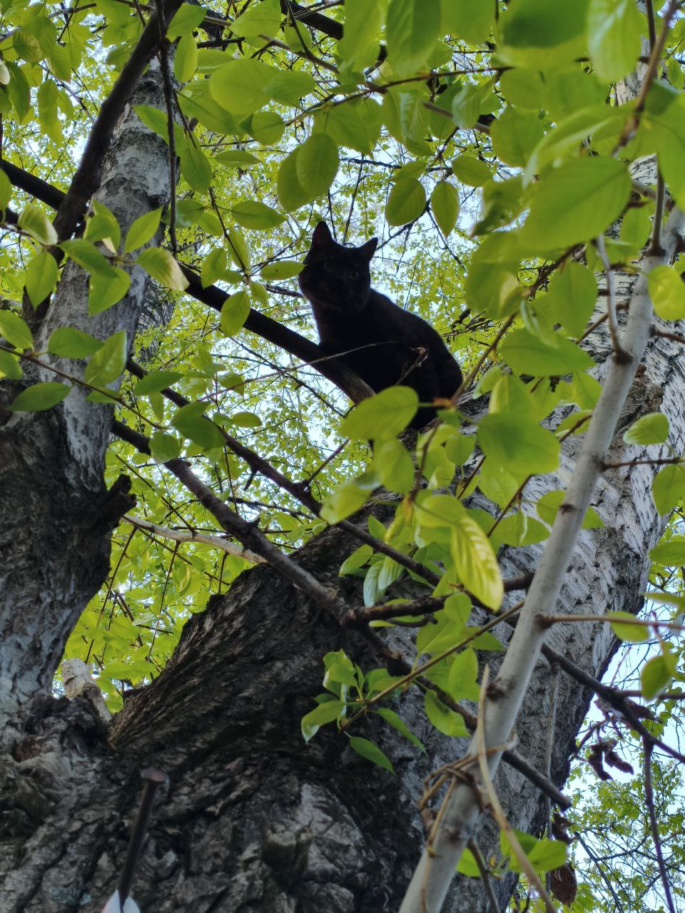20250512_Самозанятость-от-VR-миссий-до-спасе