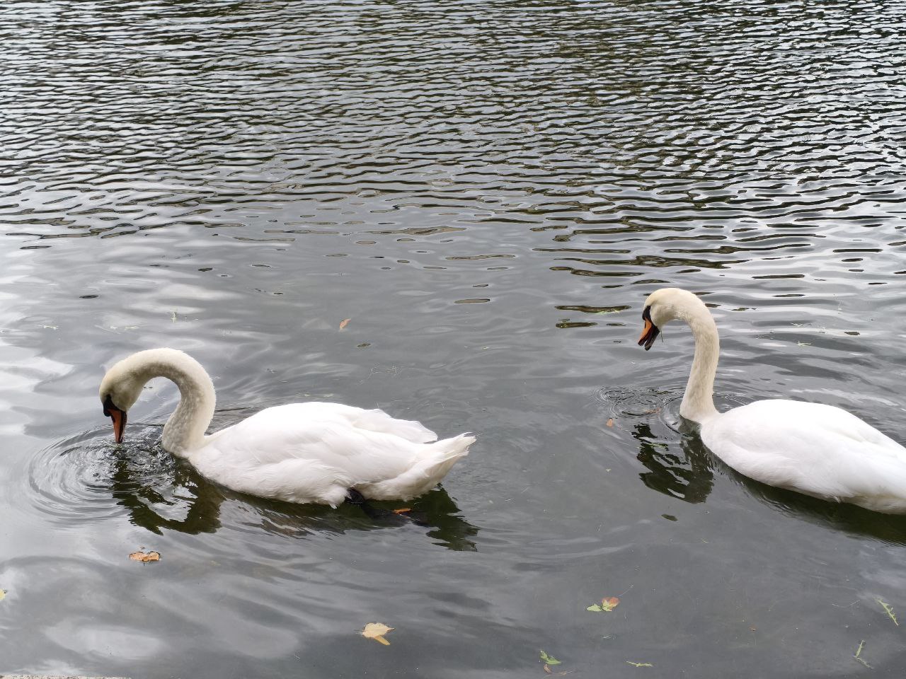 20250928_Ну-с-что-по-первому-дню